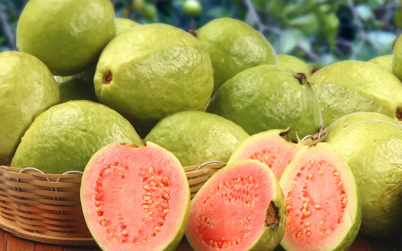 You are currently viewing Guava Fruit: Varieties, Health Benefits, and Use in Multiple Products
