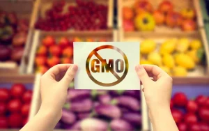 Read more about the article Non GMO foods: characteristics and advantages as raw material