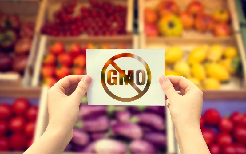 You are currently viewing Non GMO foods: characteristics and advantages as raw material