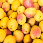 Tipos de mango: cómo sacar lo mejor de cada uno de ellos