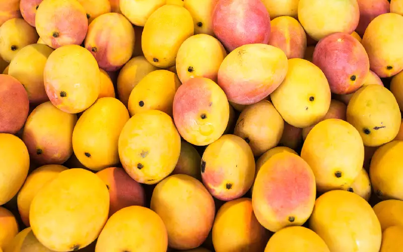 You are currently viewing Types of mango: how to get the best out of each of them