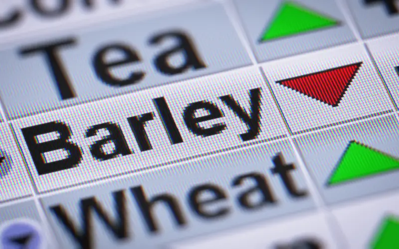 You are currently viewing Food broker: what are they, and why should you consider them?