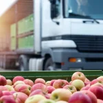 Distribution channel: the essentials on the food industry