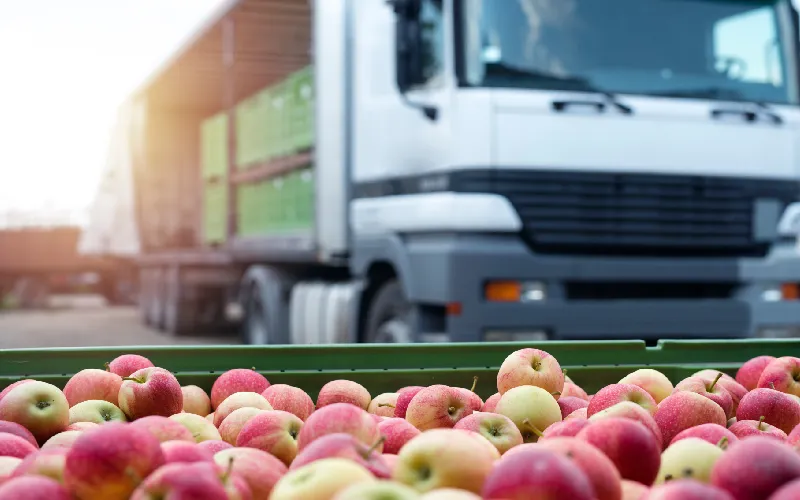 You are currently viewing Distribution channel strategies: optimize your food supply chain