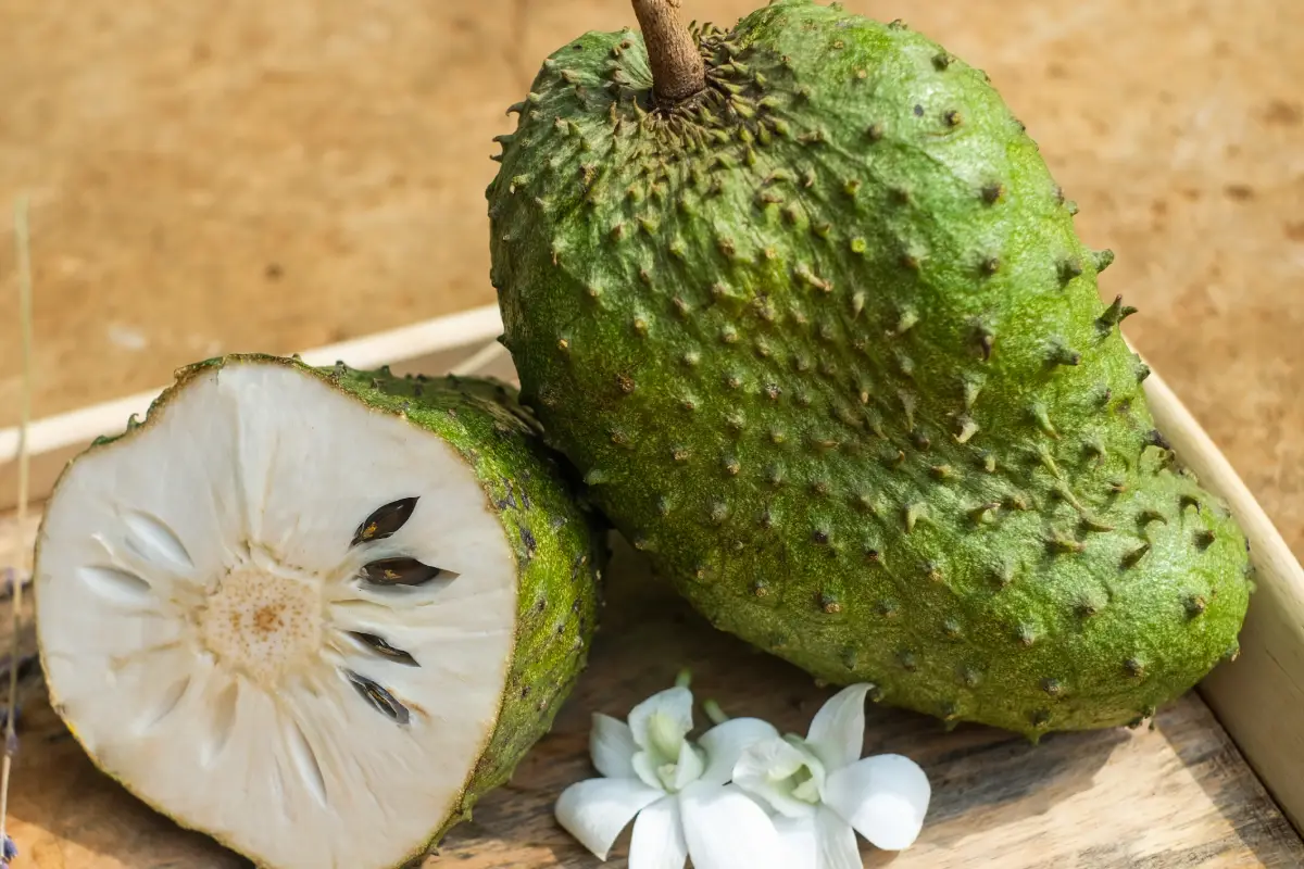 You are currently viewing Soursop fruit: why is this tropical fruit gaining popularity?