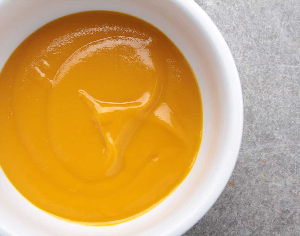 Mango Concentrate – Details and Benefits | Dream Foods