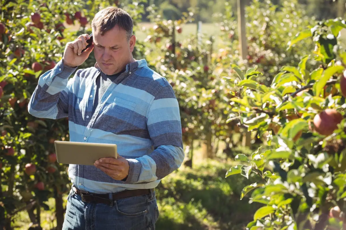 En este momento estás viendo Agricultura 4.0: Sostenibilidad y mayor rendimiento de la mano de la digitalización